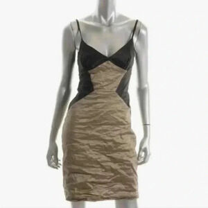 BCBGMaxAzria Black & Gold Metallic Lined Slip Dress